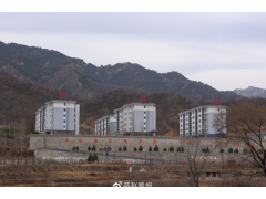 “小谷支书”直播带货助乡亲增收致富