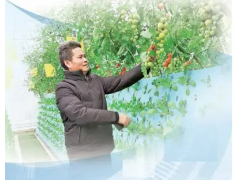 浙江丽水农业科学研究所工作设施农业技术负责人徐伟忠——气雾栽培，种出瓜果蔬菜（讲述·弘扬科学家精神）