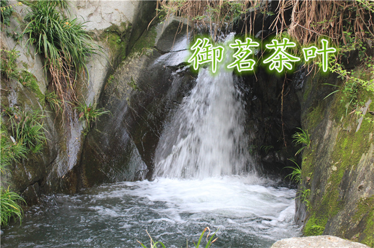 毛峰风景8