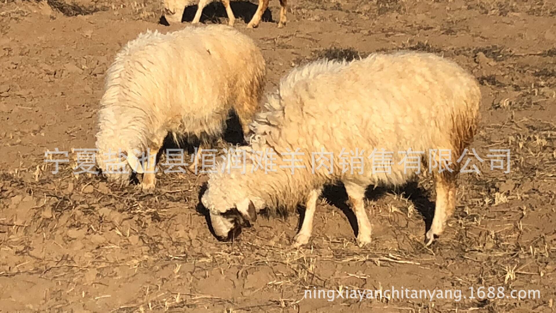 QQ图片20180425190609