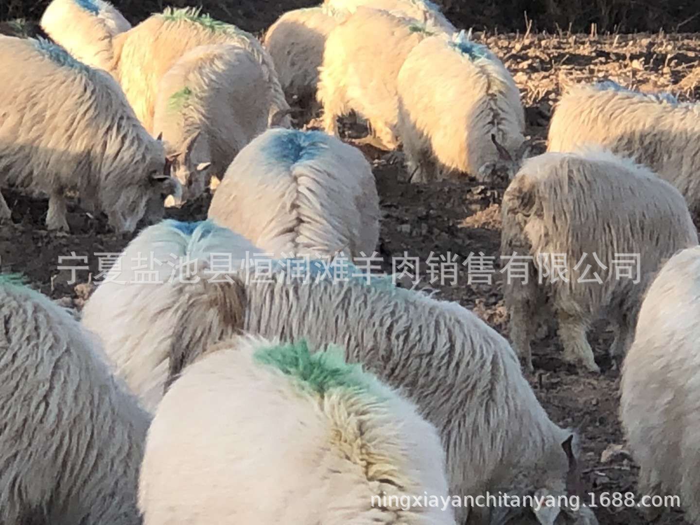 QQ图片20190328093841