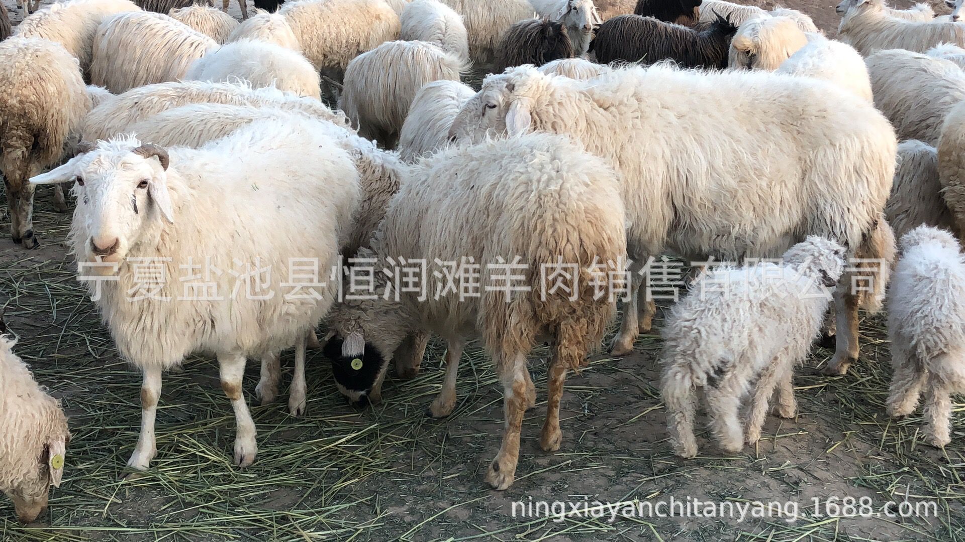 QQ图片20180425172018