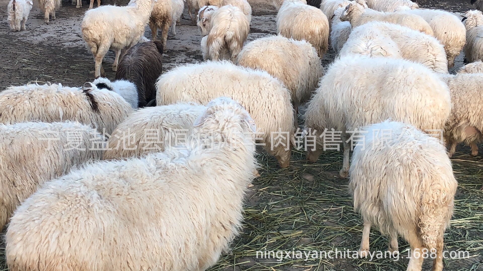 QQ图片20180425172015