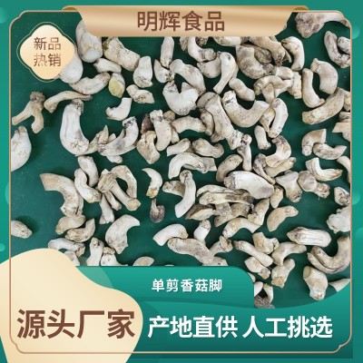 产地大量常年供应单剪香菇脚香菇柄香菇腿 单剪 锯末头 小单剪
