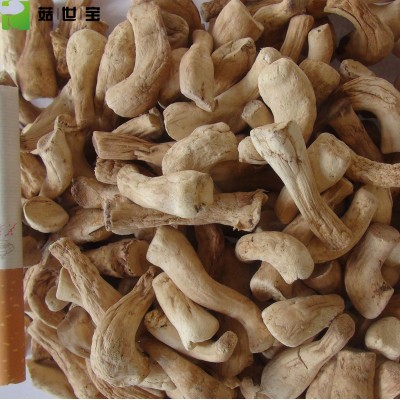 香菇脚小双剪香菇腿西峡特产香菇柄单双剪菇脚 片 丁丝厂家直销