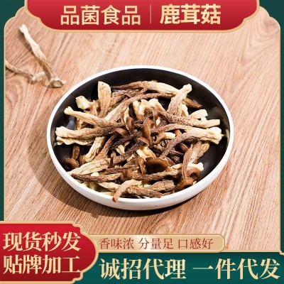 袋装鹿茸菇煲汤 新鲜鹿茸菇干货鹿茸菌特产菌菇鹿茸菇 鹿茸菇材料