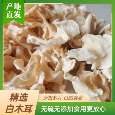 白木耳批量供应 朵型完整肉质厚实食用菌干货白木耳