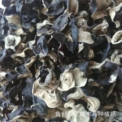 木耳碎干货批发 无泥沙无杂快餐汤料胡辣汤用精选木耳碎