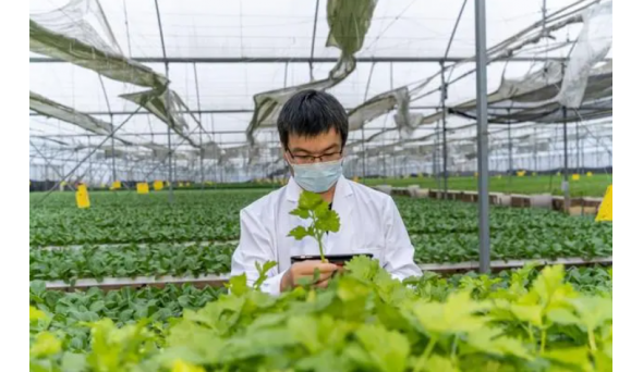 实现我国农业现代化：农业科学专业