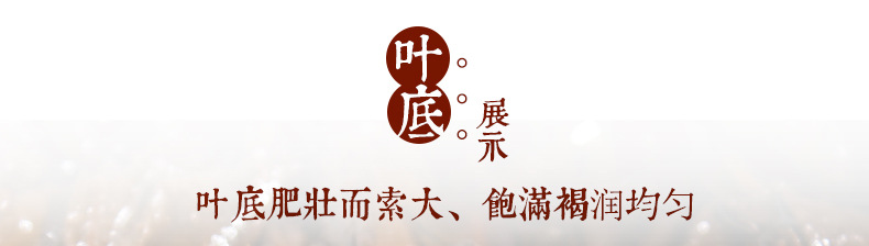 老班章古树熟茶砖250g_15.jpg