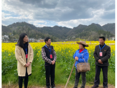 湖北恩施：监督催开致富花