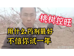 农业知识分享