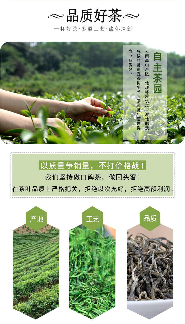 新品云南绿茶春尖_03.jpg