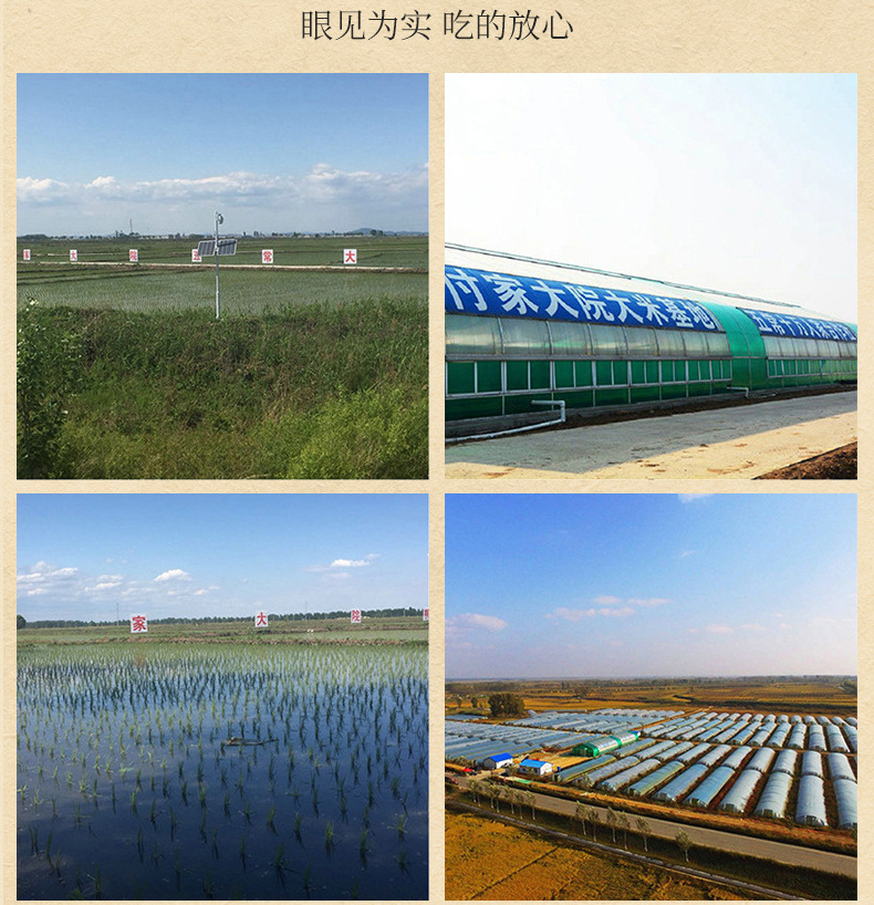 大米内页_25