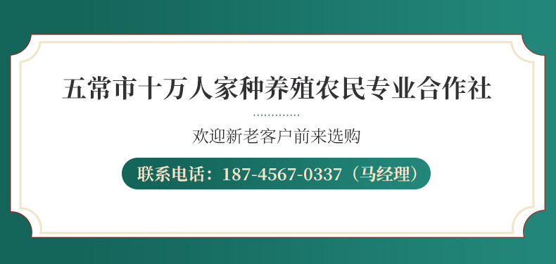 大米内页_01