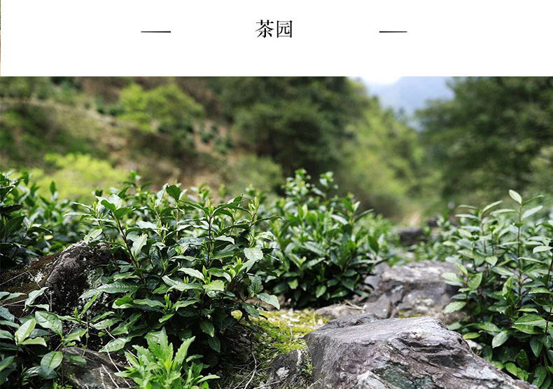 详情页-(2)_03