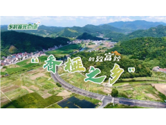 乡村振兴在行动丨“香榧之乡”的致富经