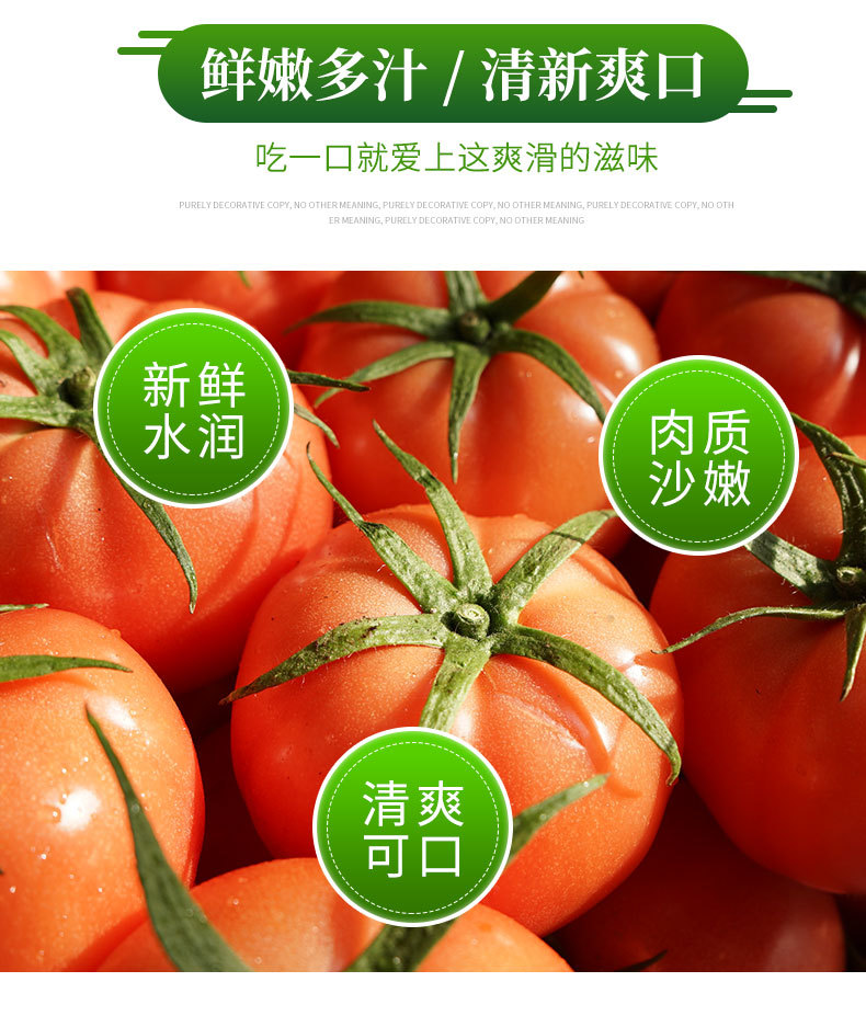 普罗旺斯_06