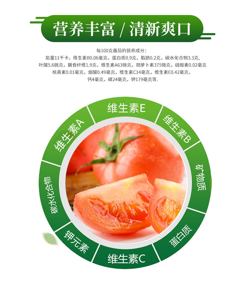 普罗旺斯_10