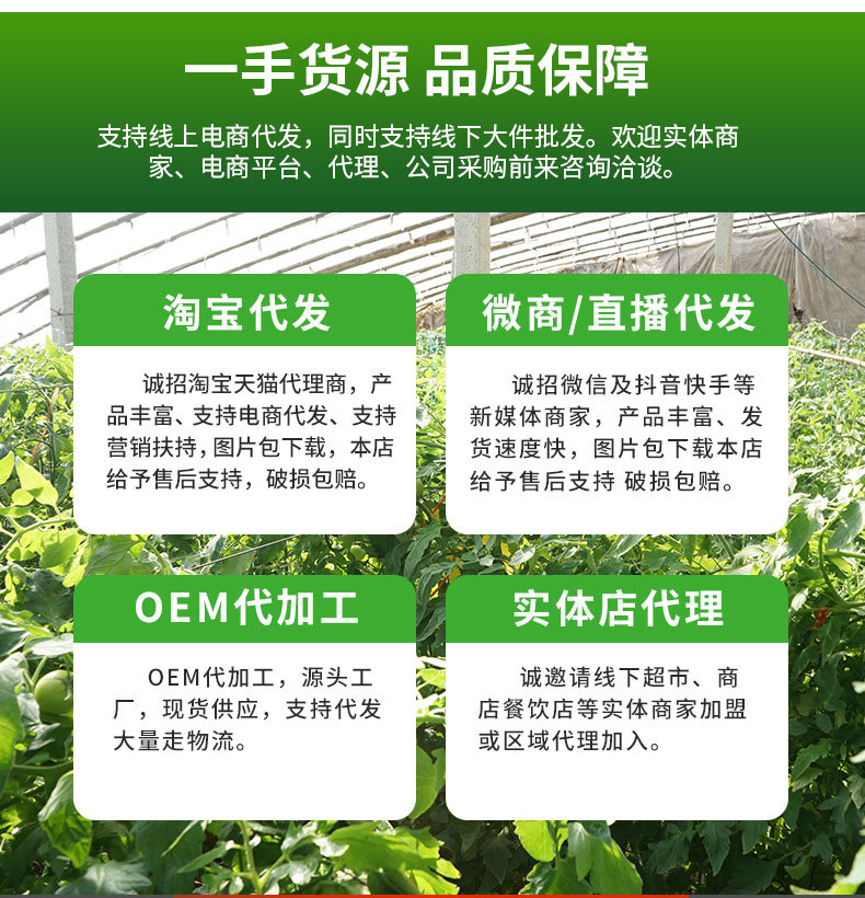 普罗旺斯_02