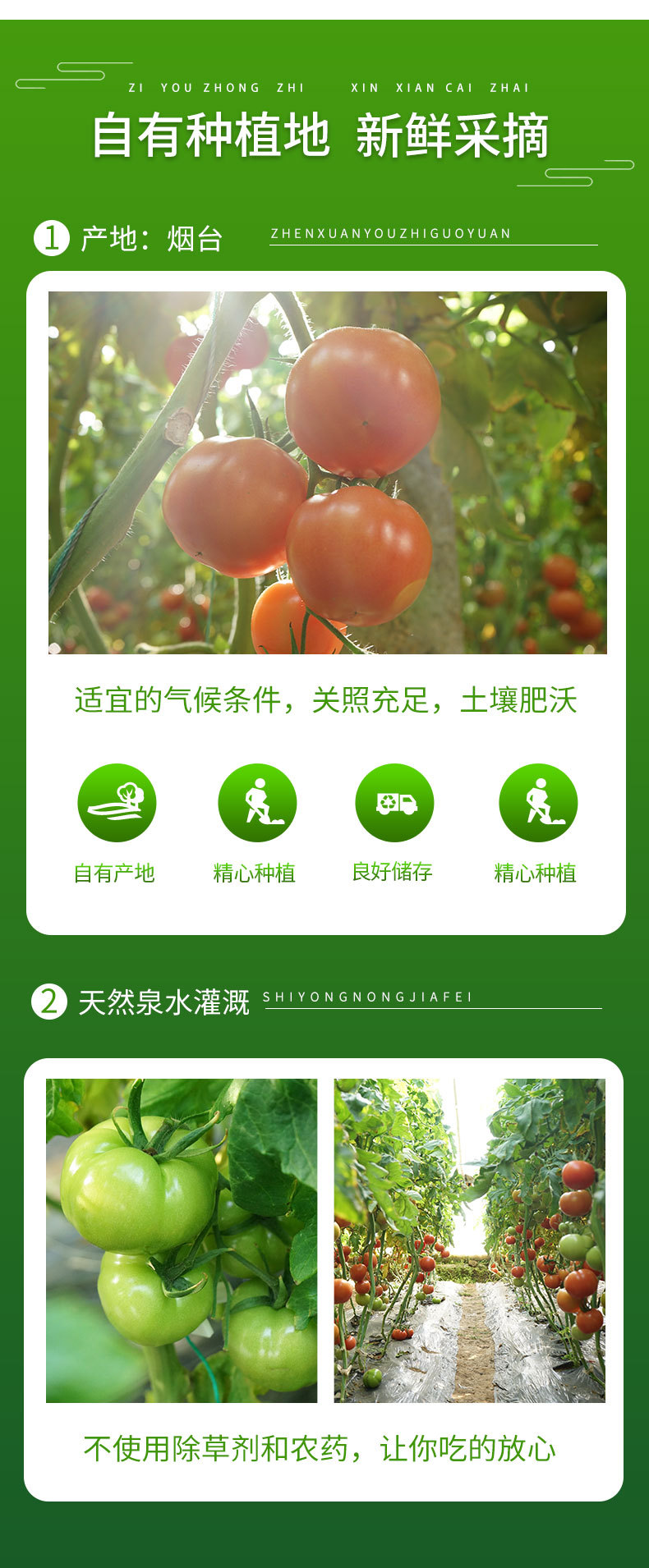 普罗旺斯_07