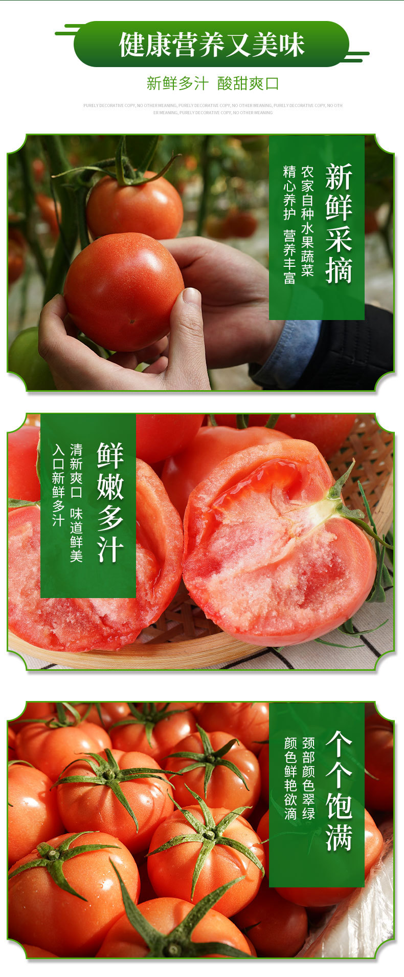 普罗旺斯_08