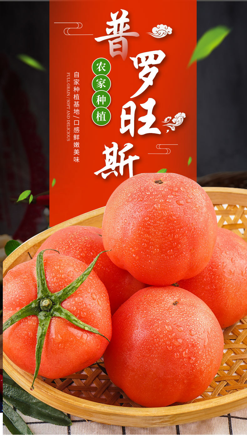 普罗旺斯_05