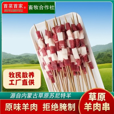首菜首家内蒙羊肉串20g/件烧烤食材制定鲜牛肉串冷冻食品低价冲量