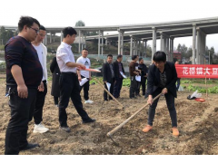 石阡：专家支招“玉米”搭档“大豆” 粮食安全保障足