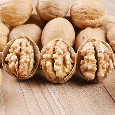 批发散装新疆阿克苏纸皮核桃185纸皮核桃手捏即开零食核桃薄皮