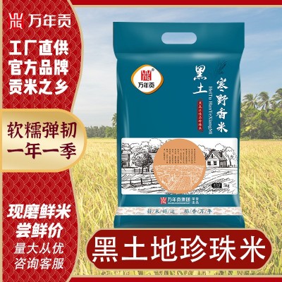 万年贡黑土地珍珠米寒野香米5kg东北大米大米10斤新米