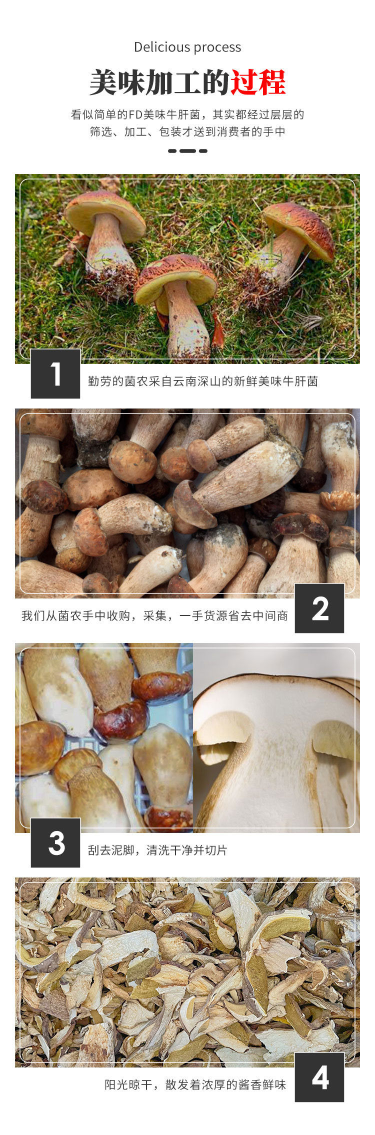 干片美味牛肝菌详情页zz_03.jpg