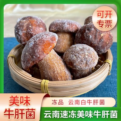 速冻菌菇云南特产冻品白牛肝菌速冻非鲜牛肝菌批发速冻美味牛肝菌
