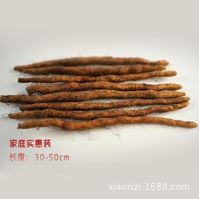 批发温县铁棍山药 5斤垆土铁棍山药通货 焦作铁棍山药 河南特产