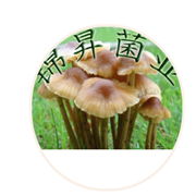 企业logo