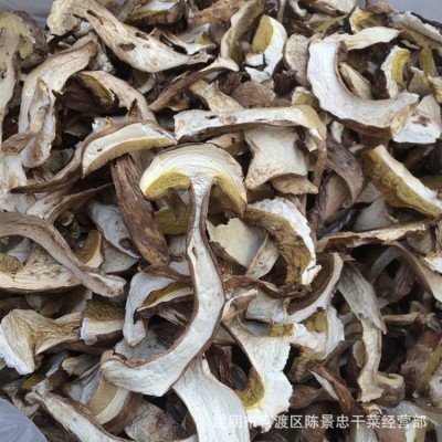 批发美味牛肝菌 牛肝菌批发 美味牛肝菌 白牛肝菌