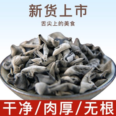 秦岭商洛黑木耳 云耳 南北干货农产品 秋木耳大量批发 一件 代发
