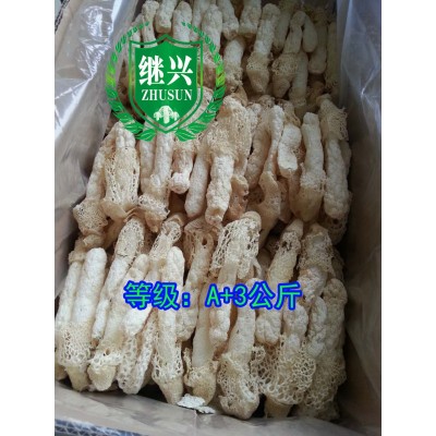 贵州 织金竹荪 3公斤 7-11cm 310元/500克 1860元/件