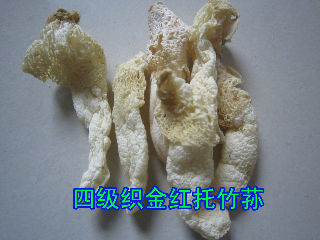 四级2