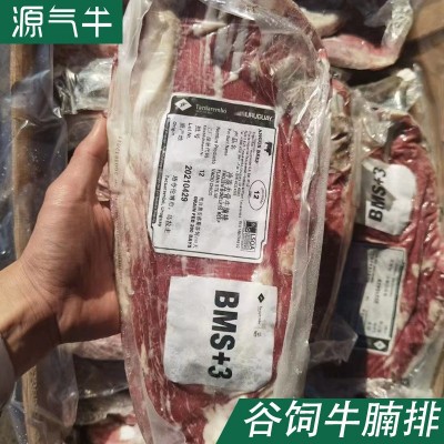 乌拉圭12厂谷饲安格斯牛腩排餐饮烧烤牛肉日韩料理烤肉撒撒米批发