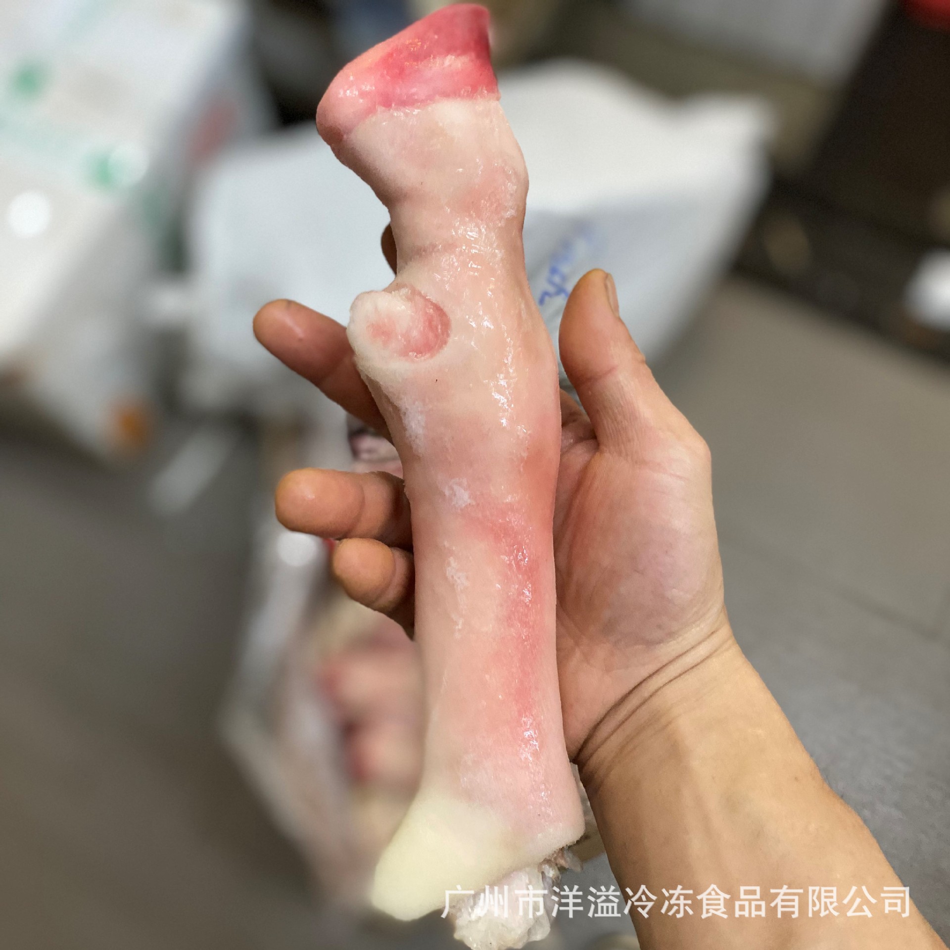微信图片_202009030945472