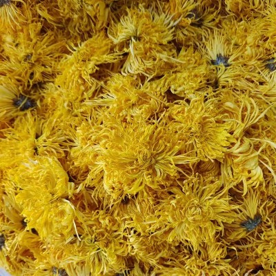 2021新花大花金丝皇菊散称金丝皇菊菊花茶安徽黄山黄菊徽州干菊花