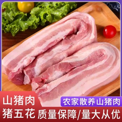 厂家直供阿文特种山猪肉猪五花现杀冷链运输肉质鲜嫩山猪肉猪五花