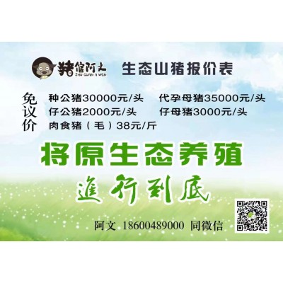 特种山猪，厂家货源， 猪肉新鲜，冷链运输，欢迎来厂查看
