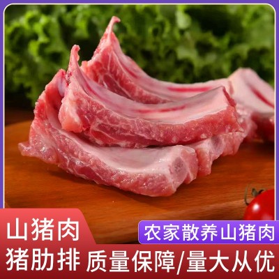 厂家直供阿文特种山猪肉猪肋排现杀冷链运输肉质鲜嫩山猪肉猪肋排