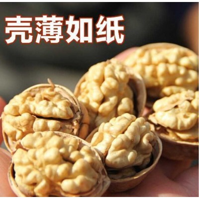 【代发】批发新疆特产新疆纸皮核桃薄皮易剥500克新疆薄皮核桃