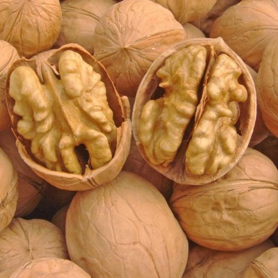 厂家批发核桃 新疆核桃 坚果薄皮核桃 500g核桃 休闲食品量大从优
