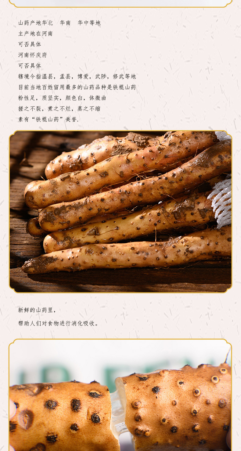 605家庭装_03.jpg
