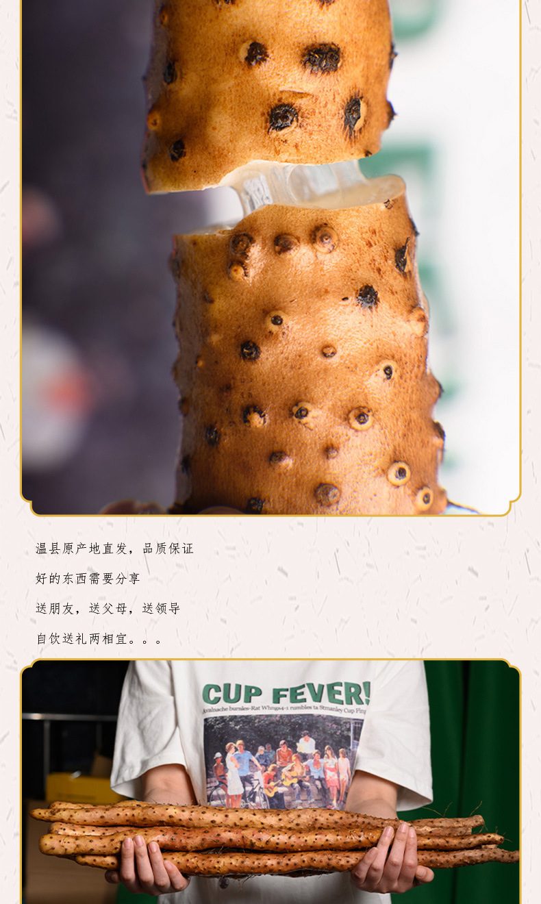 605家庭装_09.jpg
