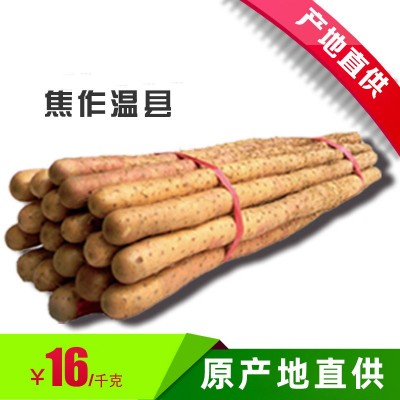 铁棍山药 产地供应 河南焦作温县 农产品 酒店 铁棍怀山药